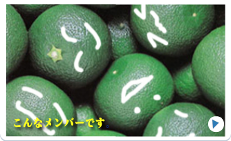 こんなメンバーです